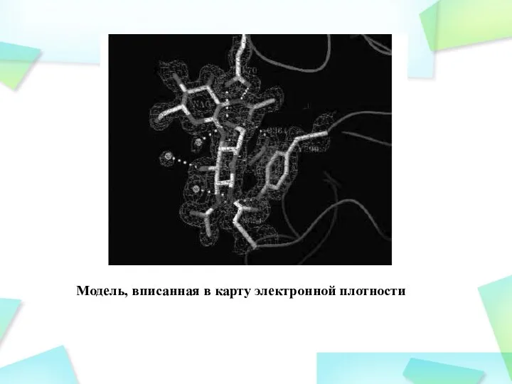 Модель, вписанная в карту электронной плотности