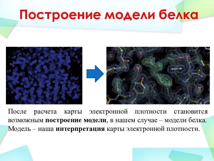 Построение модели белка После расчета карты электронной плотности становится возможным построение