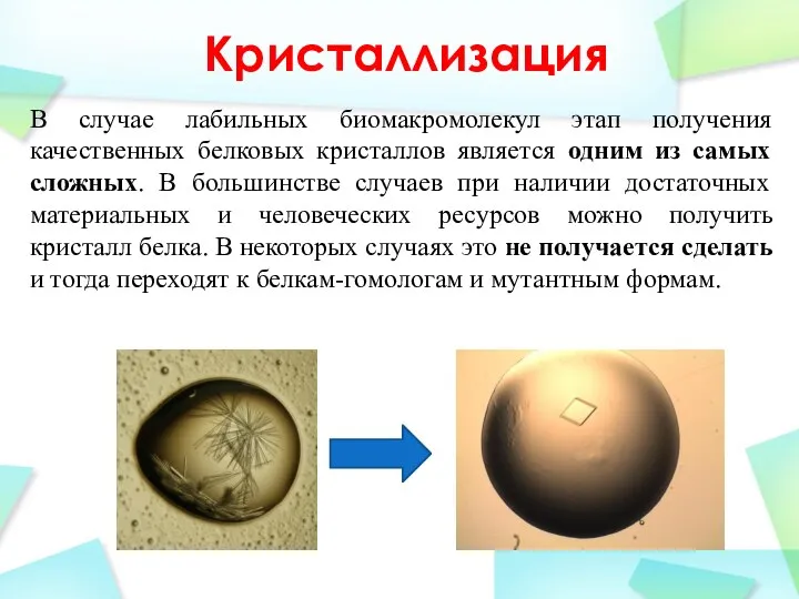 Кристаллизация В случае лабильных биомакромолекул этап получения качественных белковых кристаллов является