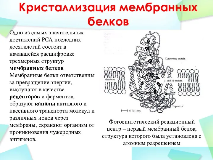 Кристаллизация мембранных белков Одно из самых значительных достижений РСА последних десятилетий