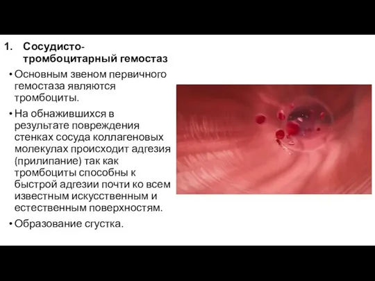 Сосудисто-тромбоцитарный гемостаз Основным звеном первичного гемостаза являются тромбоциты. На обнажившихся в