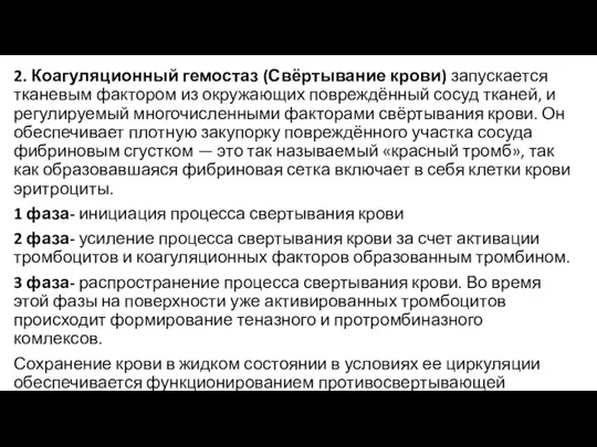 2. Коагуляционный гемостаз (Свёртывание крови) запускается тканевым фактором из окружающих повреждённый