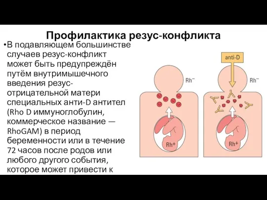 Профилактика резус-конфликта В подавляющем большинстве случаев резус-конфликт может быть предупреждён путём