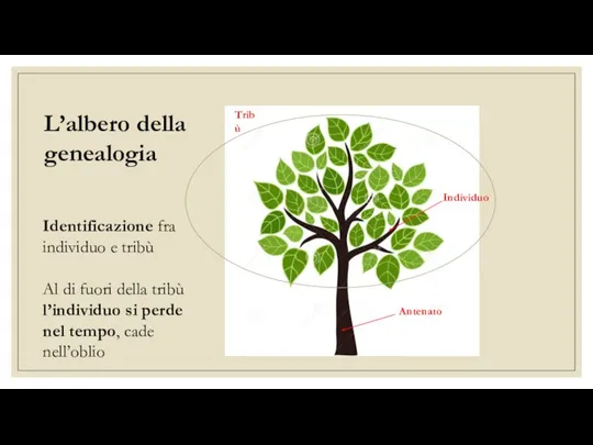 L’albero della genealogia Tribù Individuo Antenato Identificazione fra individuo e tribù