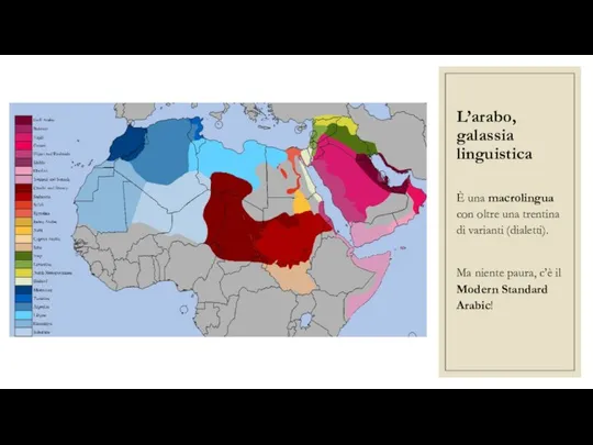 L’arabo, galassia linguistica È una macrolingua con oltre una trentina di
