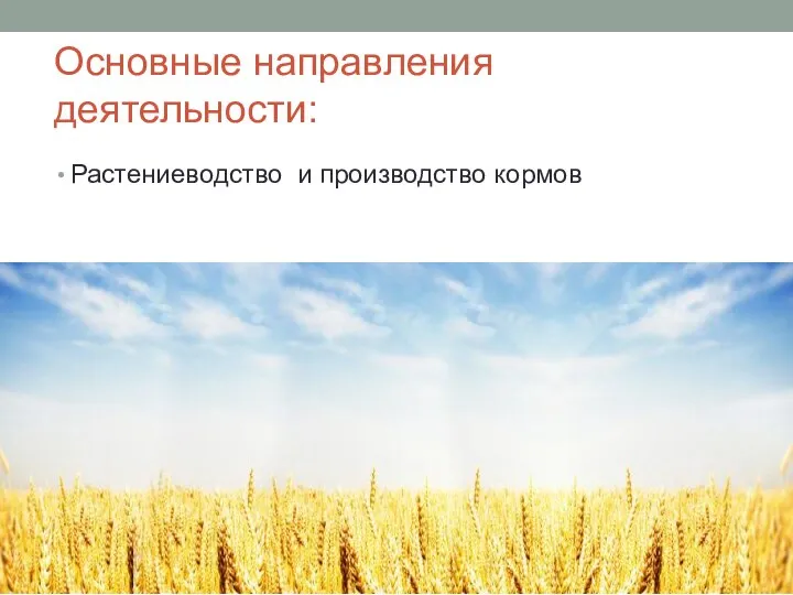 Основные направления деятельности: Растениеводство и производство кормов