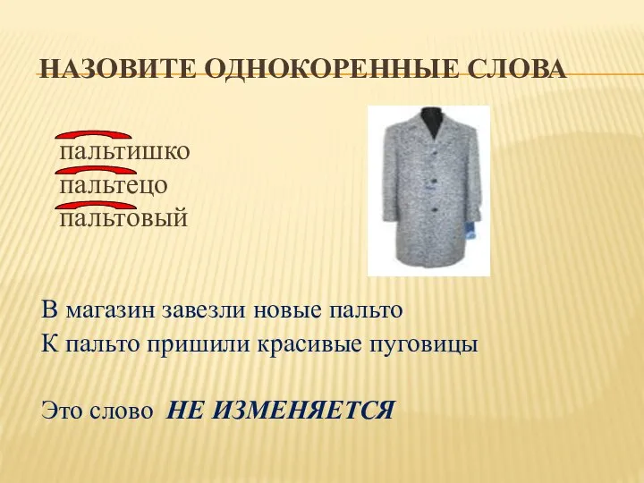 НАЗОВИТЕ ОДНОКОРЕННЫЕ СЛОВА пальтишко пальтецо пальтовый В магазин завезли новые пальто