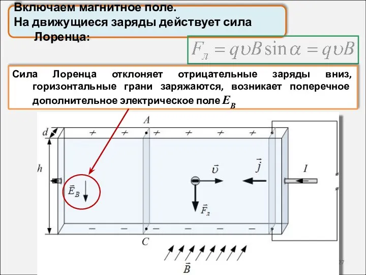 Включаем магнитное поле. На движущиеся заряды действует сила Лоренца: Сила Лоренца