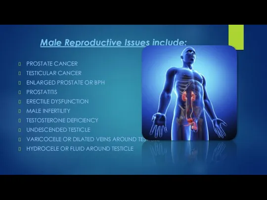 Male Reproductive Issues include: PROSTATE CANCER TESTICULAR CANCER ENLARGED PROSTATE OR