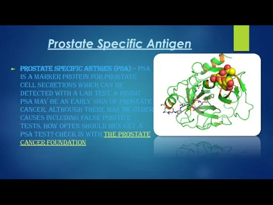 Prostate Specific Antigen Prostate Specific Antigen (PSA) – PSA is a