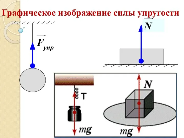 Графическое изображение силы упругости