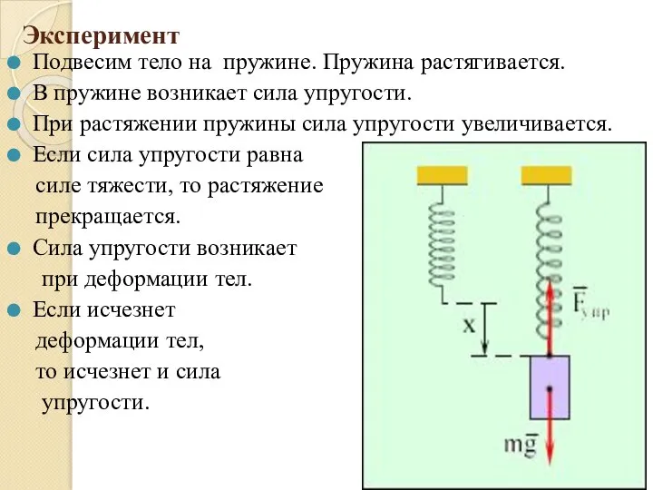 Эксперимент Подвесим тело на пружине. Пружина растягивается. В пружине возникает сила