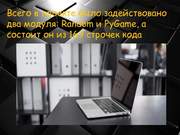 Всего в проекте было задействовано два модуля: Random и PyGame, а