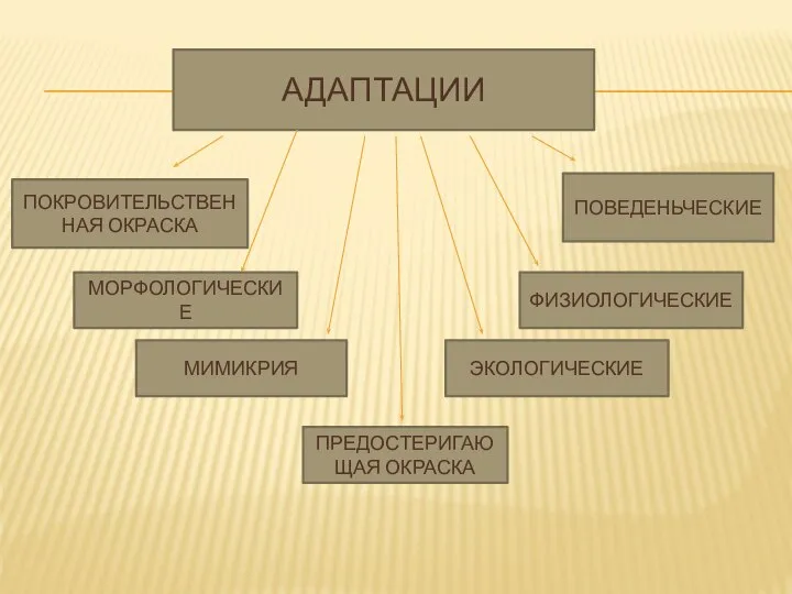 АДАПТАЦИИ МОРФОЛОГИЧЕСКИЕ ЭКОЛОГИЧЕСКИЕ ФИЗИОЛОГИЧЕСКИЕ ПОКРОВИТЕЛЬСТВЕННАЯ ОКРАСКА ПОВЕДЕНЬЧЕСКИЕ МИМИКРИЯ ПРЕДОСТЕРИГАЮЩАЯ ОКРАСКА