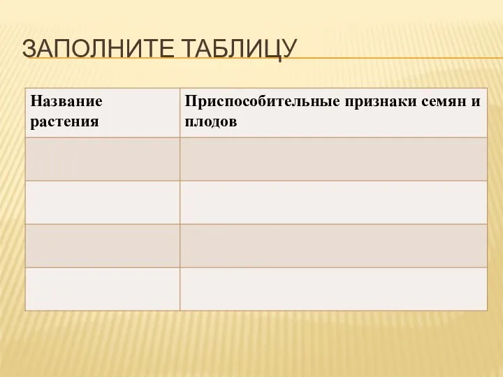 ЗАПОЛНИТЕ ТАБЛИЦУ