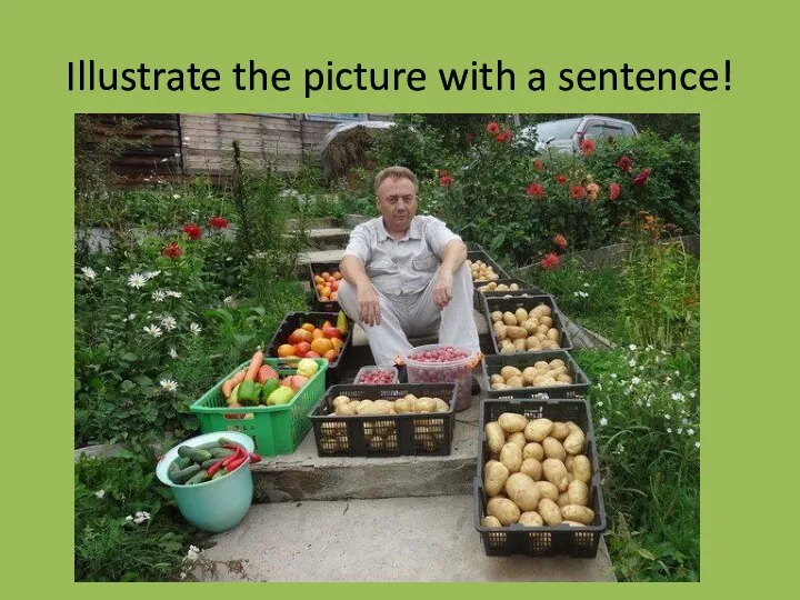 Illustrate the picture with a sentence!