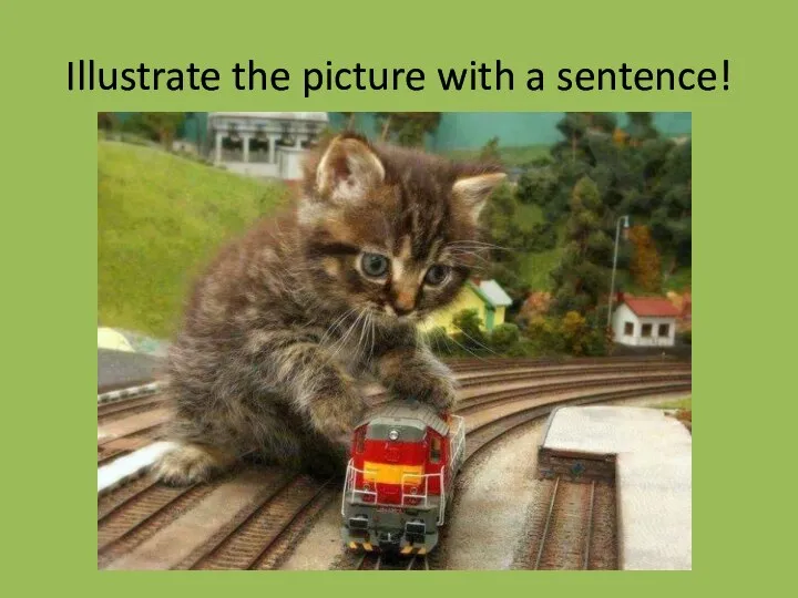 Illustrate the picture with a sentence!