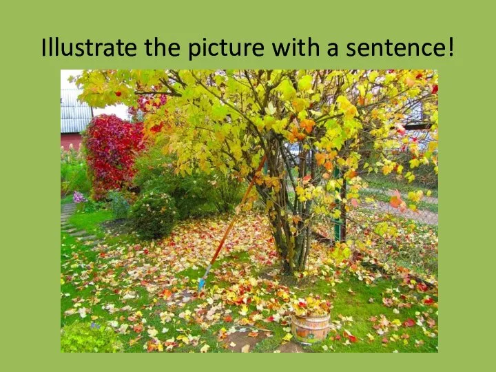 Illustrate the picture with a sentence!