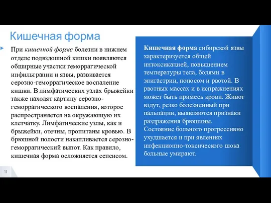 Кишечная форма При кишечной форме болезни в нижнем отделе подвздошной кишки