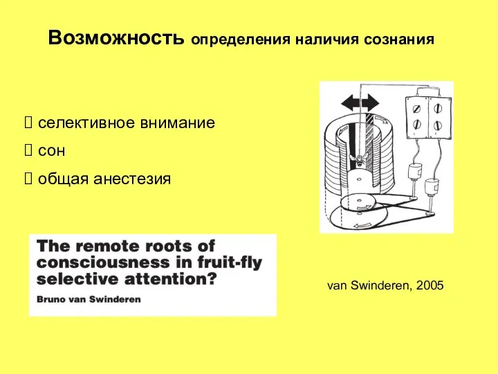 Возможность определения наличия сознания селективное внимание сон общая анестезия van Swinderen, 2005