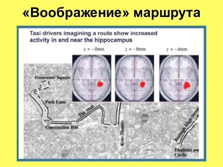 «Воображение» маршрута