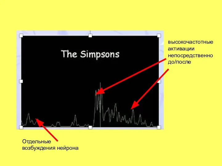 высокочастотные активации непосредственно до/после Отдельные возбуждения нейрона