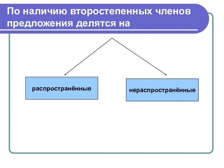 По наличию второстепенных членов предложения делятся на распространённые нераспространённые