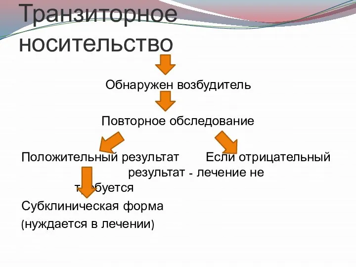 Транзиторное носительство Обнаружен возбудитель Повторное обследование Положительный результат Если отрицательный результат