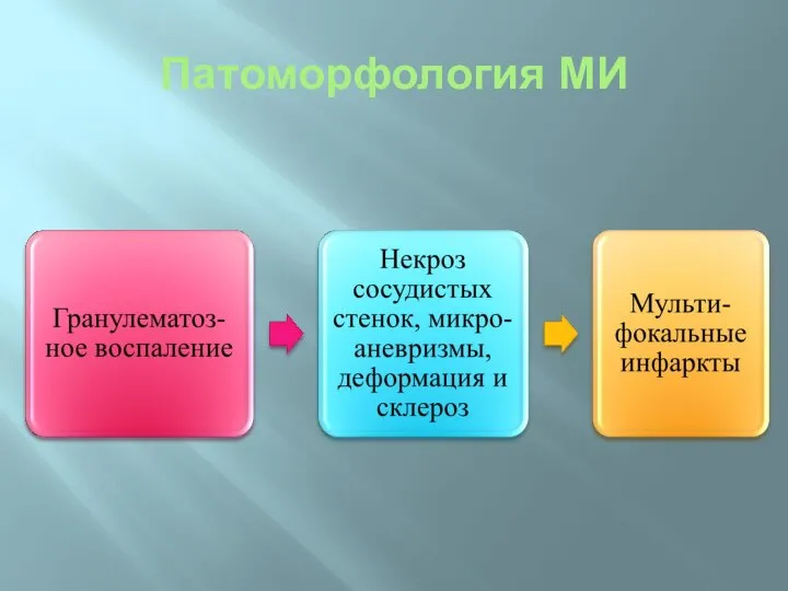 Патоморфология МИ