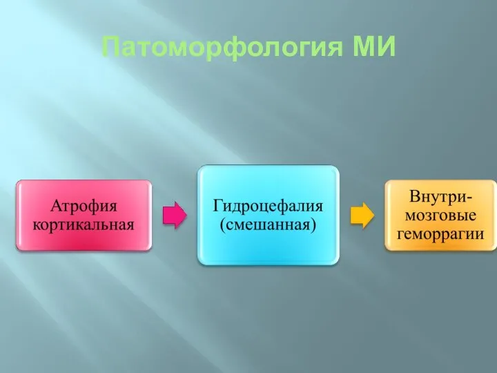 Патоморфология МИ