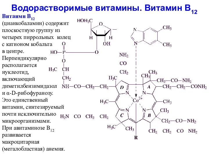 Водорастворимые витамины. Витамин В12 Витаимн В12 (цианкобаламин) содержит плоскостную группу из