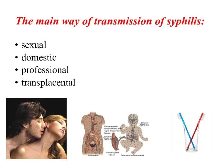 The main way of transmission of syphilis: sexual domestic professional transplacental