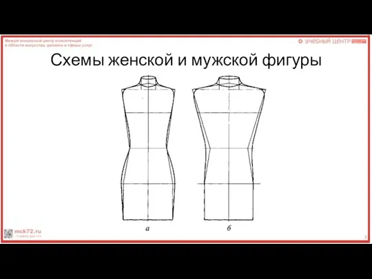 Схемы женской и мужской фигуры