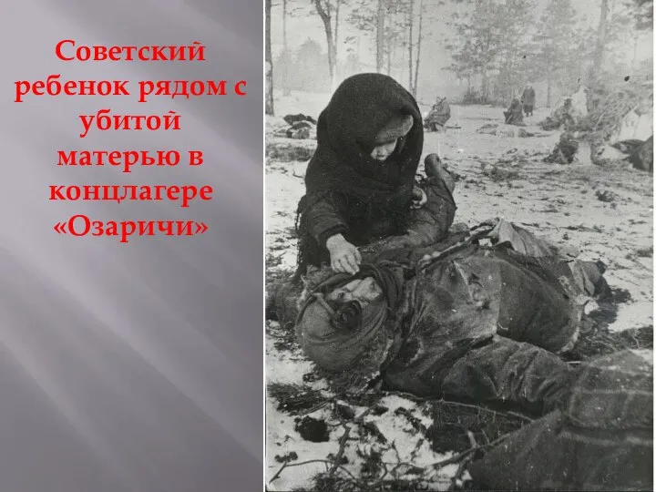 Советский ребенок рядом с убитой матерью в концлагере «Озаричи»