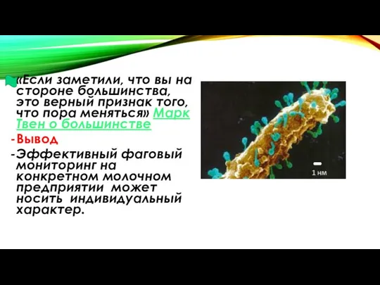 «Если заметили, что вы на стороне большинства, это верный признак того,