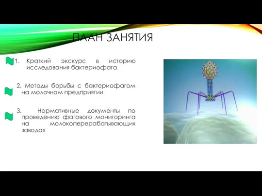 ПЛАН ЗАНЯТИЯ Краткий экскурс в историю исследования бактериофага 2. Методы борьбы