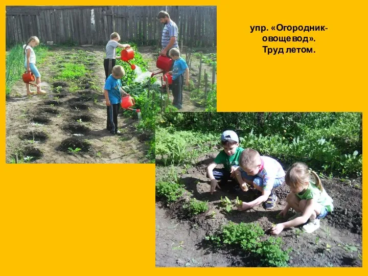 упр. «Огородник-овощевод». Труд летом.