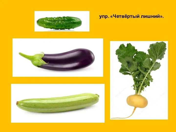 упр. «Четвёртый лишний».