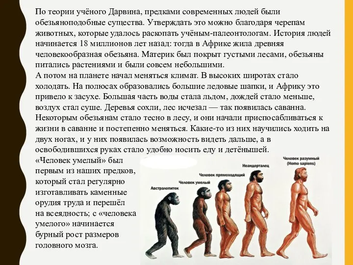 По теории учёного Дарвина, предками современных людей были обезьяноподобные существа. Утверждать