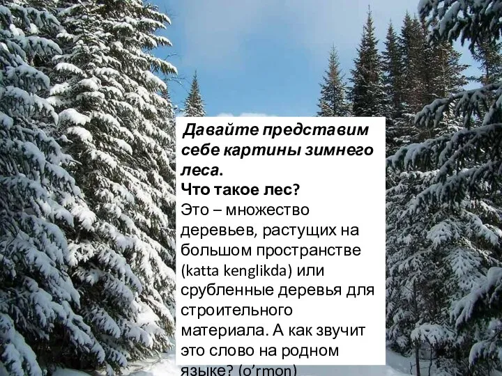 Давайте представим себе картины зимнего леса. Что такое лес? Это –