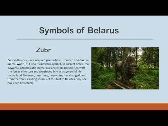 Symbols of Belarus Zubr Zubr in Belarus is not only a