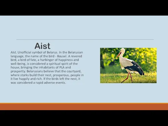 Aist AIst. Unofficial symbol of Belarus. In the Belarusian language, the