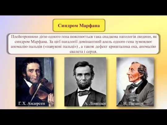 Синдром Марфана Плейотропною дією одного гена пояснюється така спадкова патологія людини,