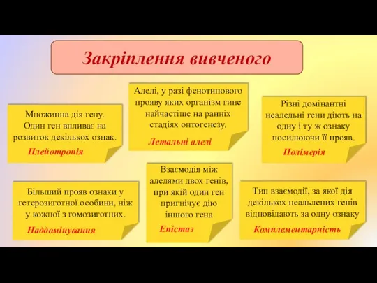 Закріплення вивченого Тип взаємодії, за якої дія декількох неальлених генів відповідають