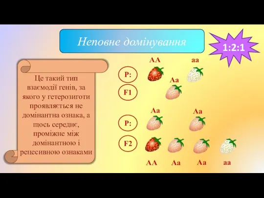 Неповне домінування Це такий тип взаємодії генів, за якого у гетерозиготи