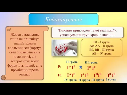 Кодомінування Жоден з алельних генів не пригнічує інший. Кожен алельний ген