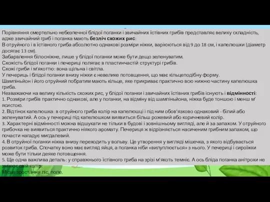 Порівняння смертельно небезпечної блідої поганки і звичайних їстівних грибів представляє велику