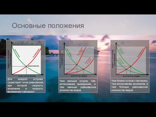 Основные положения Для каждого острова существует точка равновесия, при которой скорость