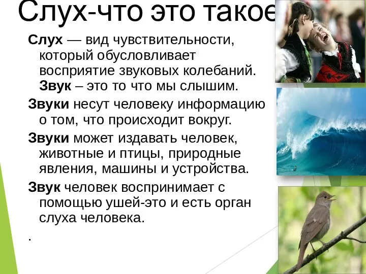 Слух-что это такое? Слух — вид чувствительности, который обусловливает восприятие звуковых