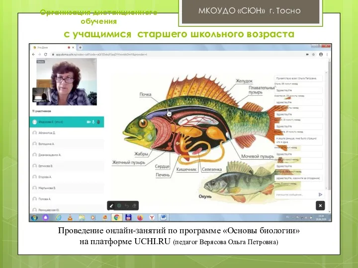 МКОУДО «СЮН» г. Тосно Проведение онлайн-занятий по программе «Основы биологии» на